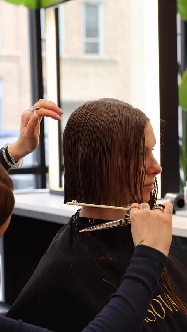 Short hair, Don’t care 💁‍♀️

If you are already thinking of chopping your hair, just do it 😘

Haircut by @breahugheshair 

Book your own transformation today!
💻 www.arsova.com/book
📞 312-371-0773

chicago hairstylist | chicago hair salon | short hair | bob haircut | chicago bob | chicago hair |